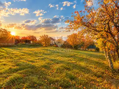 Building land in Motovun, panoramic views and peace - 3
