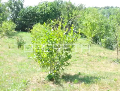 Zemljište 5.328 m², Perjavica - građevinsko zemljište