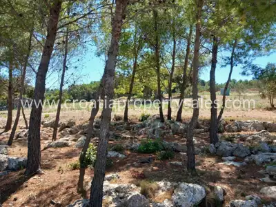 Agricultural land, Brač - sea view and vehicle access - 4