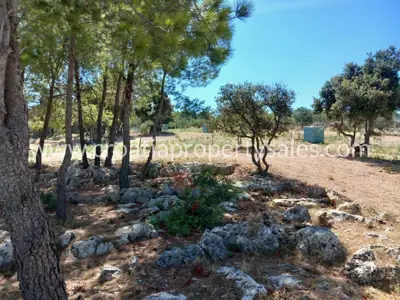 Agricultural land, Brač - sea view and vehicle access - 9