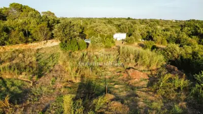 Building plot 916 m², Vodnjan - building permit - 2