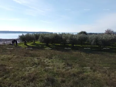 Apartment 102 m², Novigrad - rooftop terrace and view of the bay - 9