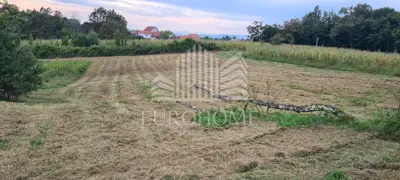House: Dvoranci, 184.00 m² - total 43,300 m² of land - 9