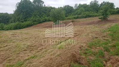 House: Dvoranci, 184.00 m² - total 43,300 m² of land - 12