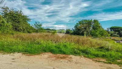 Land 2,471 m², Umag surroundings - investment potential - 6