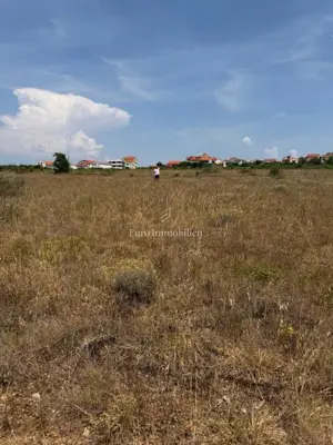 Building plot 40 m from the sea - Povljana - 2