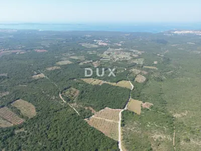 Olive grove 13,979 m², Vodnjan - kažun, summer kitchen and barbecue - 3