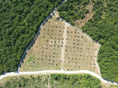 Olive grove 13,979 m², Vodnjan - kažun, summer kitchen and barbecue - 2