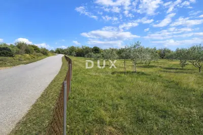 Olive grove 13,979 m², Vodnjan - kažun, summer kitchen and barbecue - 6