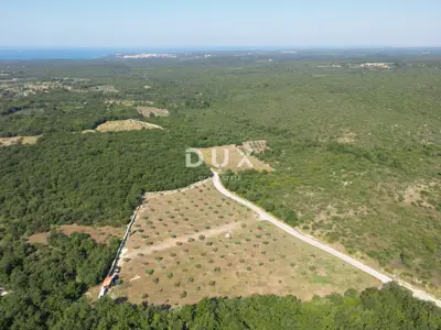 Olive grove 13,979 m², Vodnjan - kažun, summer kitchen and barbecue