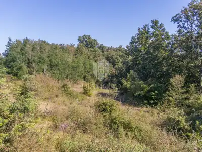 Land 7,975 m², Žminj - by the main road - 5