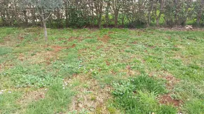 Building land 520 m², Peroj, sea view - 2