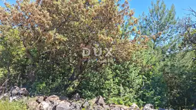 Agricultural land 3,877 m², Osor - by the sea and beach - 8