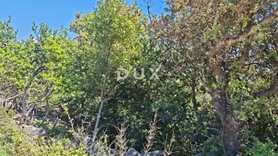 Agricultural land 3,877 m², Osor - by the sea and beach - 9