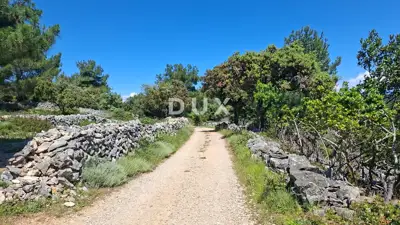 Agricultural land 3,877 m², Osor - by the sea and beach - 10