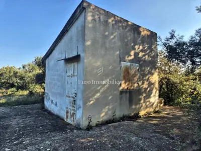 Landwirtschaftsfläche 5.791 m², Pirovac - erste Reihe zum Meer - 4
