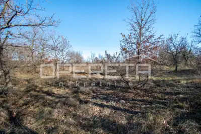 Estate 29,794 m², Vodnjan - complete privacy - 4