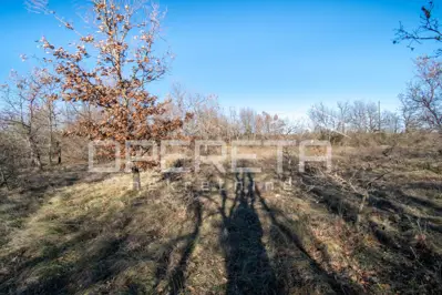 Estate 29,794 m², Vodnjan - complete privacy - 5