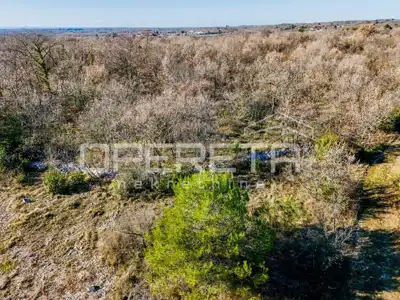 Anwesen 29.794 m², Vodnjan - vollständige Privatsphäre