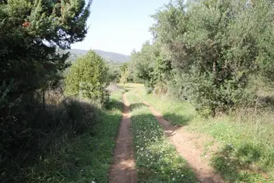 Kaštel Štafilić, Ackerland 1466 m², zu verkaufen - 6