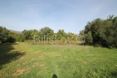 Kaštel Štafilić, Ackerland 1466 m², zu verkaufen - 2
