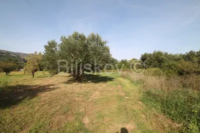 Kaštel Štafilić, Ackerland 1466 m², zu verkaufen - 3