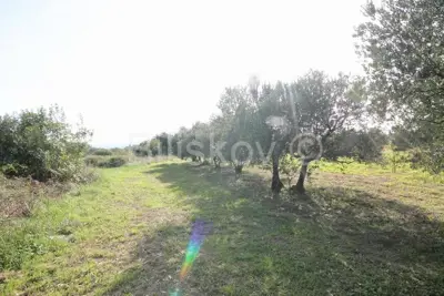 Kaštel Štafilić, Ackerland 1466 m², zu verkaufen - 5