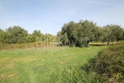 Kaštel Štafilić, Ackerland 1466 m², zu verkaufen