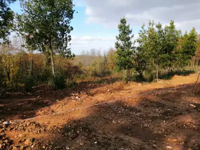 Land 2,785 m², Materada, quiet location near Umag