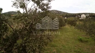 House 15,000 m², Stankovci - olive grove and 2 building plots - 11