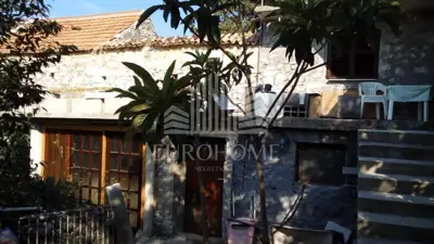 House 15,000 m², Stankovci - olive grove and 2 building plots