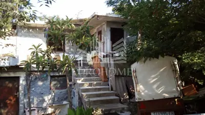House 15,000 m², Stankovci - olive grove and 2 building plots - 3