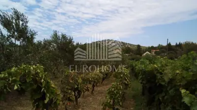 House 15,000 m², Stankovci - olive grove and 2 building plots - 12