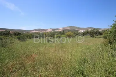 Građevinsko zemljište, Plano, 2.732 m², mirno okruženje - 7