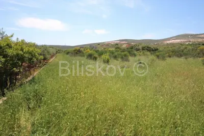 Building plot, Plano, 2,732 m², peaceful surroundings