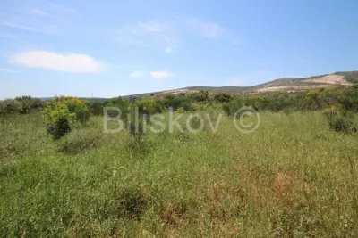 Građevinsko zemljište, Plano, 2.732 m², mirno okruženje - 8