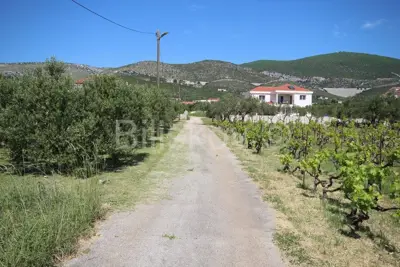 Građevinsko zemljište, Plano, 2.732 m², mirno okruženje - 4