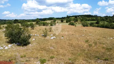 Land 9,181 m², Oprtalj - panoramic views - 3