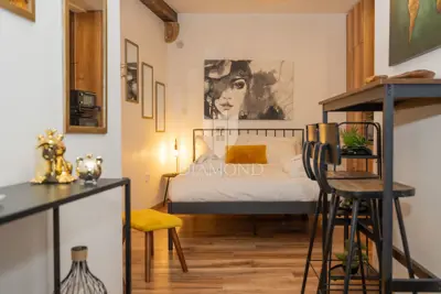 Studio apartman 20 m², Rovinj centar, prizemlje i uređen - 3