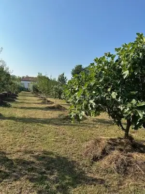 Vikendica 70 m², Porat na Krku, pogled na more - 7
