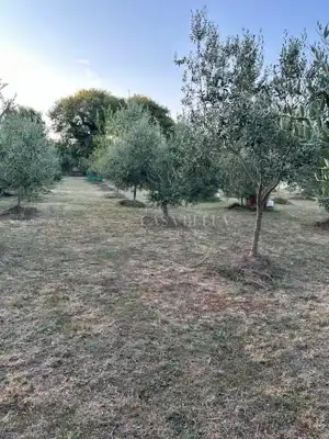 Vikendica 70 m², Porat na Krku, pogled na more - 9