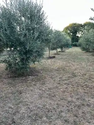Vikendica 70 m², Porat na Krku, pogled na more - 10