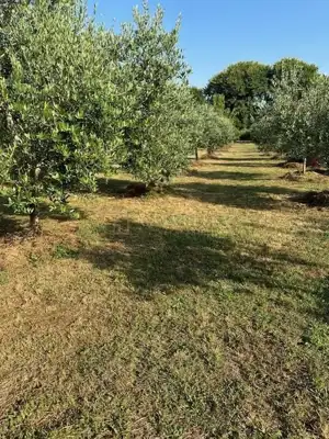 Vikendica 70 m², Porat na Krku, pogled na more - 6