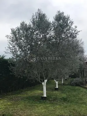 Vikendica 70 m², Porat na Krku, pogled na more - 13