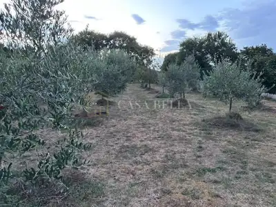 Vikendica 70 m², Porat na Krku, pogled na more - 11