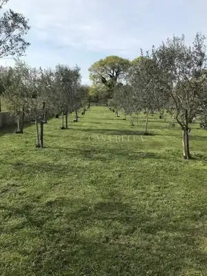 Vikendica 70 m², Porat na Krku, pogled na more - 5