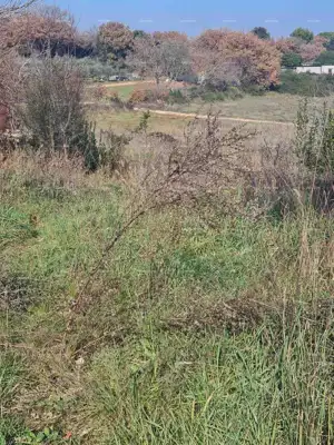Building land 800 m², Vintijan, next to the main road - 7