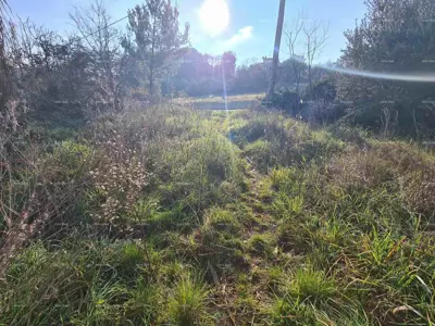 Građevinsko zemljište 800 m², Vintijan, uz glavnu cestu