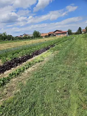 Abrisshaus, Hrašće Turopoljsko, Grundstück 1.510 m² - 2