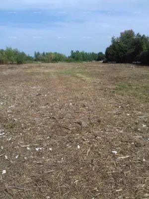 Građevinska parcela u Žitnjaku, 8308 m² - 2